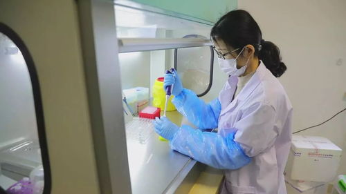 国内首个 成都团队研发全自主知识产权高通量基因分析系统