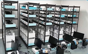 小动物能量代谢系统