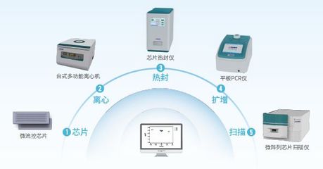 创“芯”建不凡 | 中国“芯”羊城绽放新力量