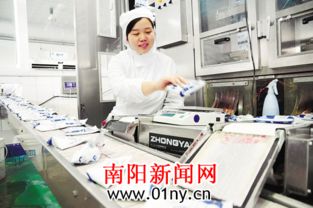 南阳日报多媒体数字报刊平台