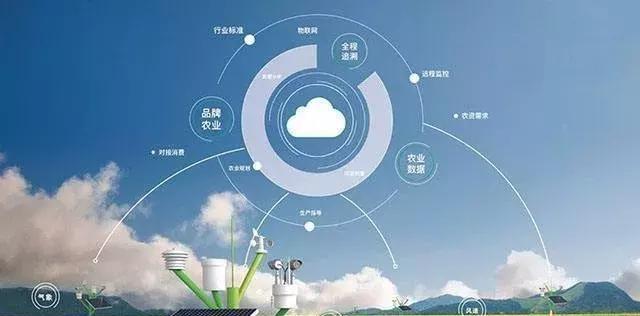 农业+AI:理想丰满、现实骨感