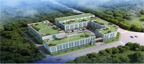 项目直击 成都医学城12个产业化项目集中动工 吹响高质量发展冲锋号