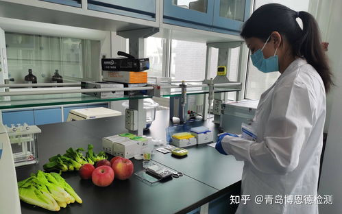 食品快速检测机构