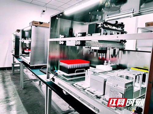 领跑中西部 长沙县位居2021科技创新百强县第六位